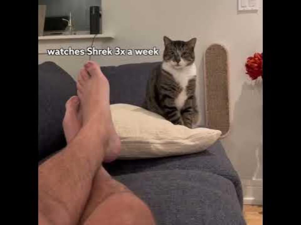 PAWS