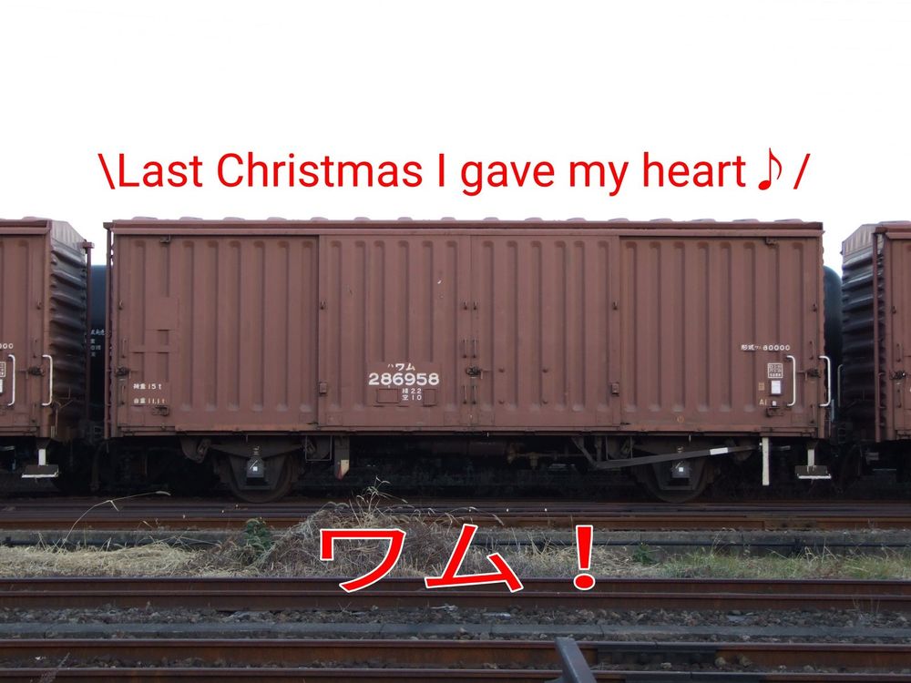 や、そのワムじゃないですね✋