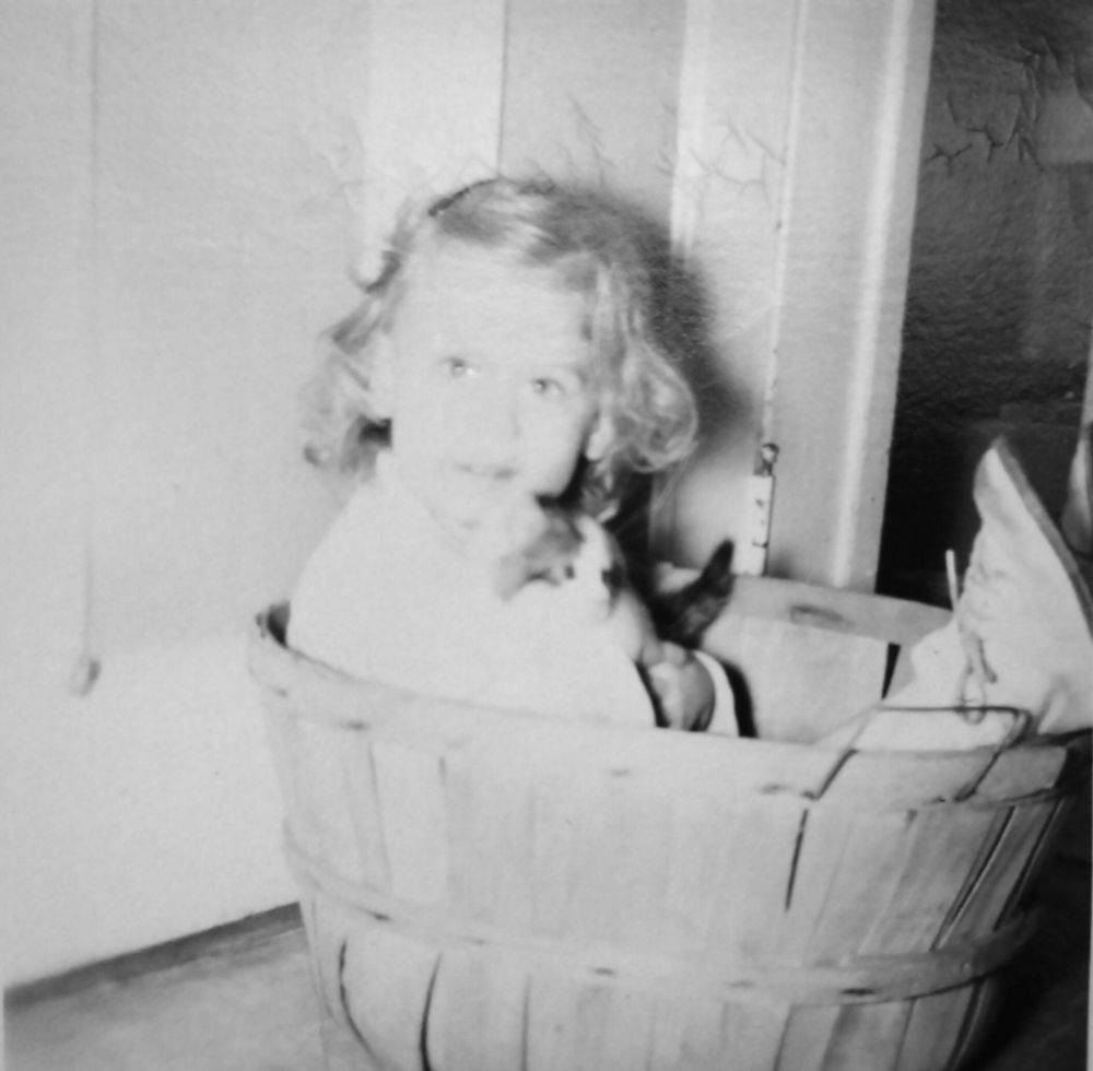 Very little girl in a basket clutching a kitten. 
