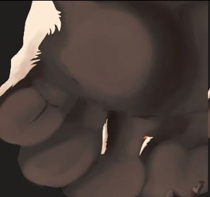 Closeup of skal's foot from a painted commission