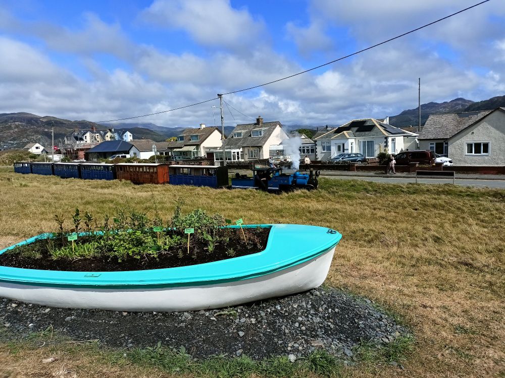 Turquoise boat that is used as a plant pot with a steam train in the background 