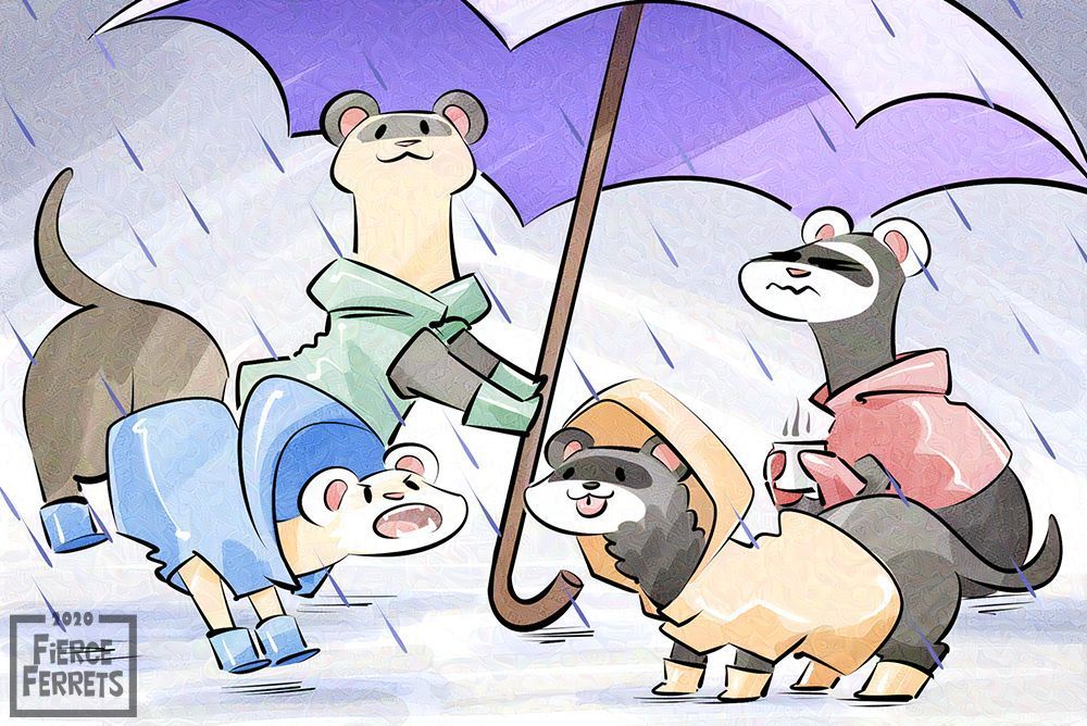 Cartoon illustration of 4 ferrets all in colored raincoats under a large umbrella. The one on the right in the red raincoat grumpily drinks coffee, next to him the one on the yellow raincoat stands on all fours with his tongue out, next to him one on a green raincoat leans on the umbrella with two paws, and the last ferret on the far left is in a blue raincoat splashing in puddles with a fierce look in his eyes. 