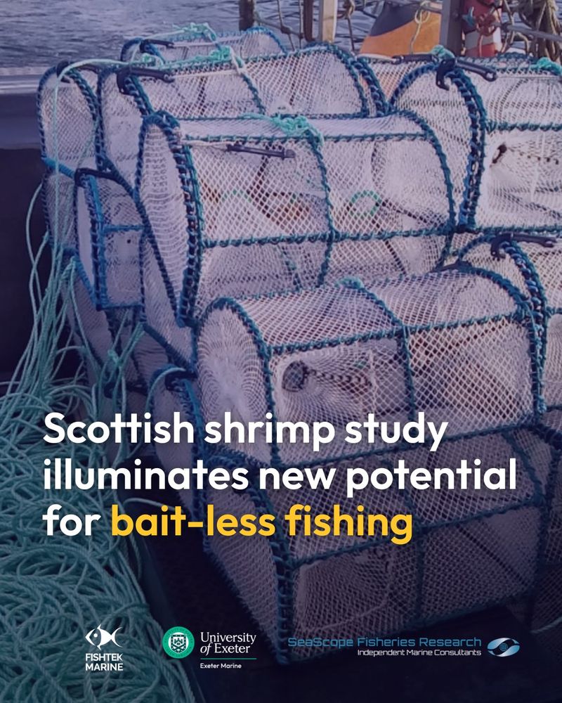 fishing pots stacked upon eachother on a boat as a background image. overlaid is the text 'scottish shrimp study illuminates new potential for bait-less fishing'. three logos for fishtek marine, university of exeter and seascape fisheries research are at the bottom of the page.