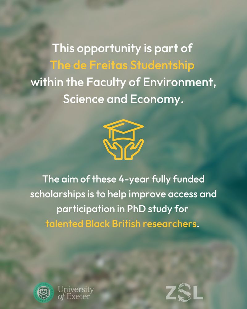 an image describing a scholarship