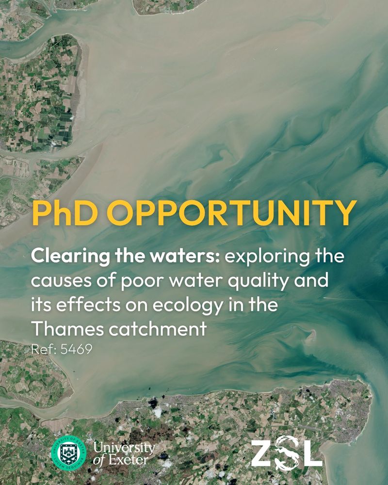 an image advertising a phd opportunity