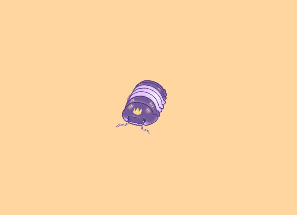 A little doodle of a Panda King isopod