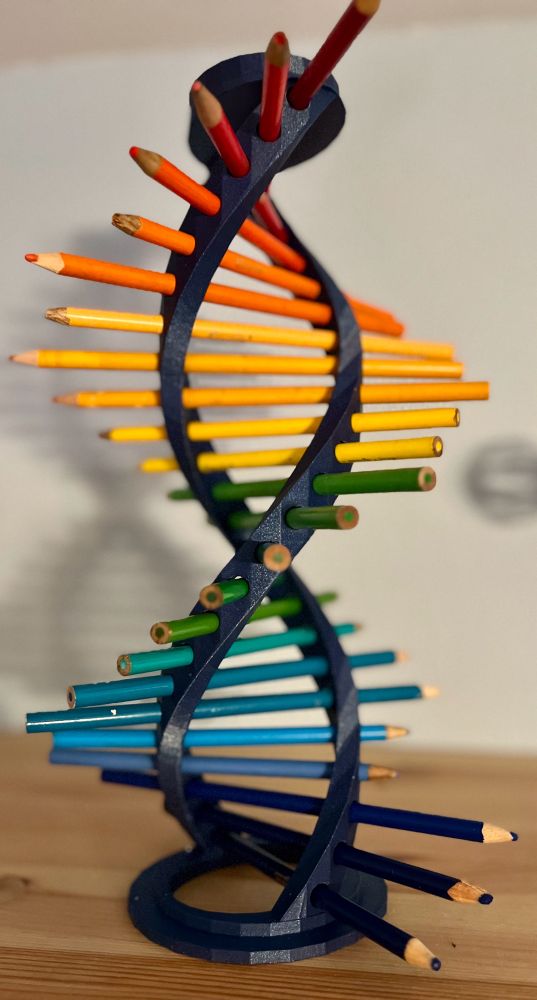A DNA double helix ladder with pencil rungs/bases. The pencils form a color spectrum from purple (bottom) to red. 