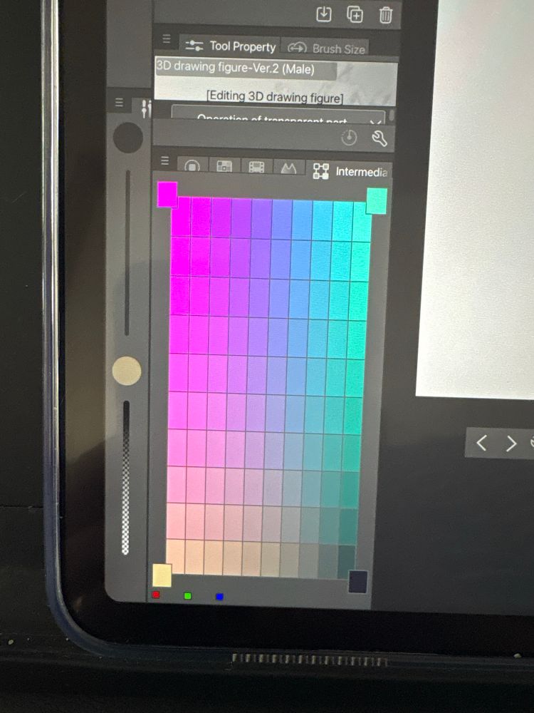 A screen shot of the Intermediate Color window on Clip Studio Paint. 
