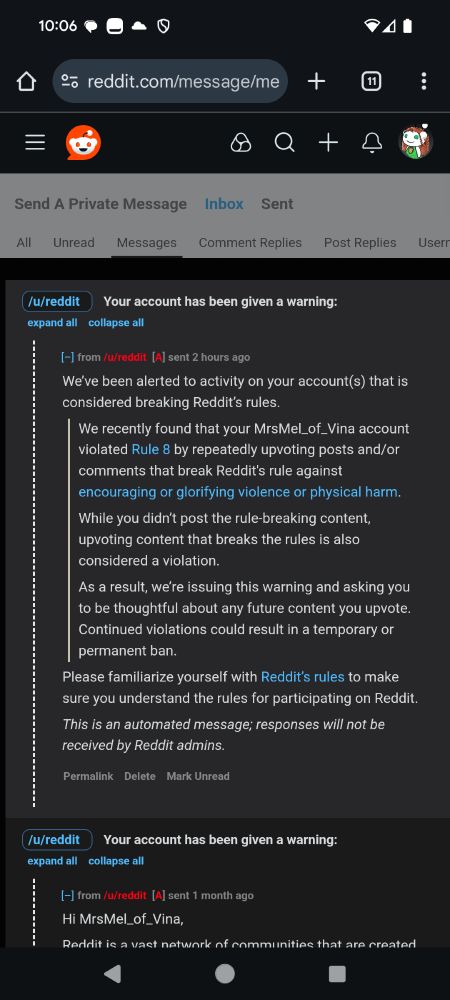 A message from Reddit saying that my account has been given a warning. "We recently found that your account violated Rule 8 by repeatedly up voting posts and/or comments that break Reddit's rules against encouraging or glorifying violence or physical harm."