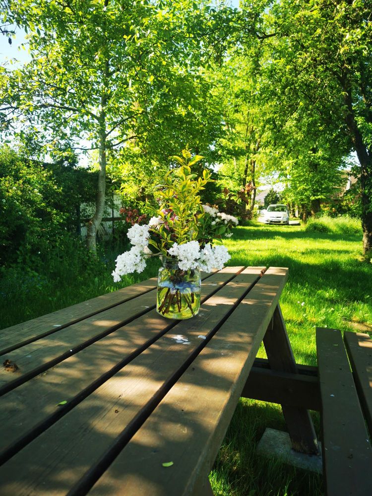 Auf einer Picknickbank steht eine Glasvase mit weißem und violettem Flieder. Ringsum stehen Laubbäume. Es ist sonniges Wetter.