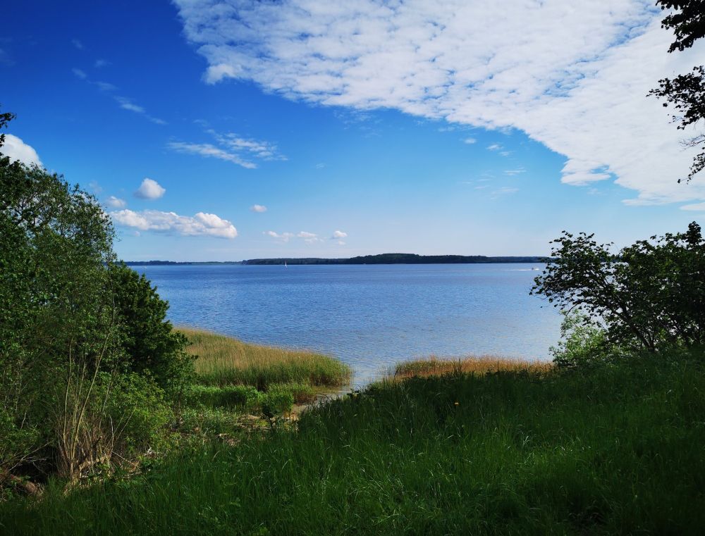 Blick in den Strelasund bei Stralsund bei sonnigem Wetter.