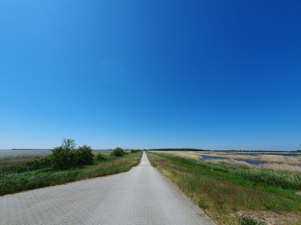 Ein Fahrradweg am Bodden. Links und rechts sind Gras, Schilf und Wasser zu sehen. Es ist schönes Wetter, blauer Himmel und keine Wolken am Himmel zu sehen.