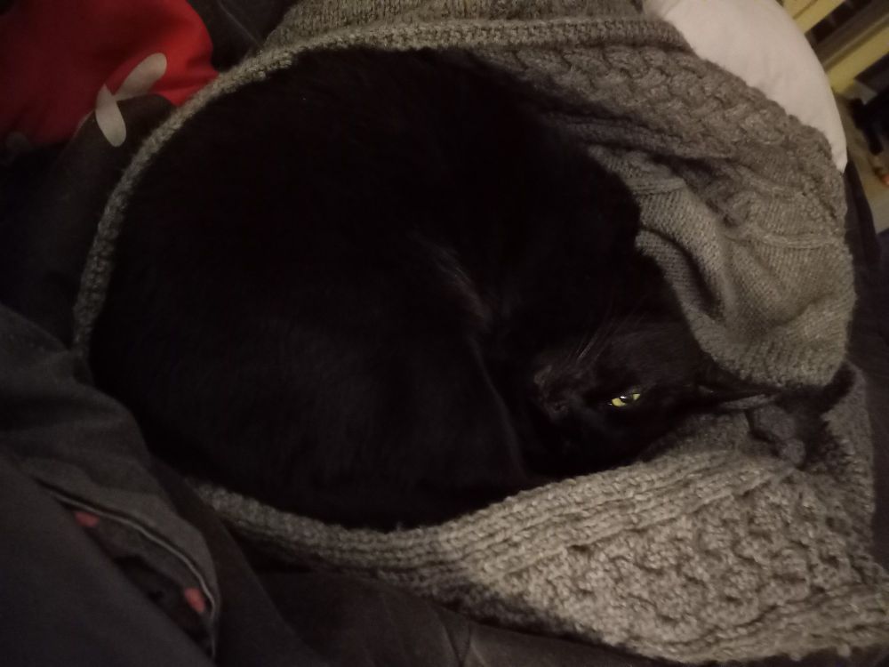 Black short-haired cat curled snugly inside a grey aran cable-knit blanket, which is curled around the cat, with one visible green eye half-opened