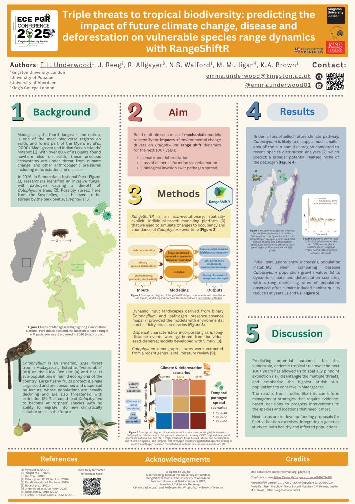 A colourful poster titled "Triple threats to tropical biodiversity: predicting the impact of future climate change, disease and deforestation on vulnerable species range dynamics with RangeShiftR"; with five sub-headers with text sections including: 1) Background, 2) Aim, 3) Methods, 4) Results and 5) Discussion. There are five figures, figure 1 is a map of Madagascar, figure 2 is a conceptual diagram of the RangeShiftR modelling framework, figure 3 is a conceptual diagram of model scenario combinations, figure 4 are maps of Madagascar showing habitat suitability of the focal tree and its wilt pathogen, and figure 5 shows a lambda graph describing population growth rates over a 100-year simulation. At the bottom of the poster are references, acknowledgements and credits.