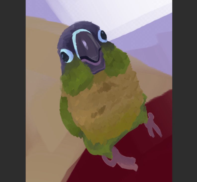 a very basic digital painting of a green cheek conure conure looking straight at the viewer. his mouth is slightly open and his eyes are facing out in opposite directions