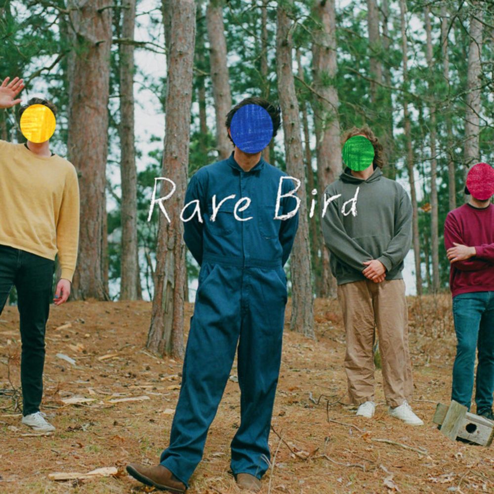 Preview