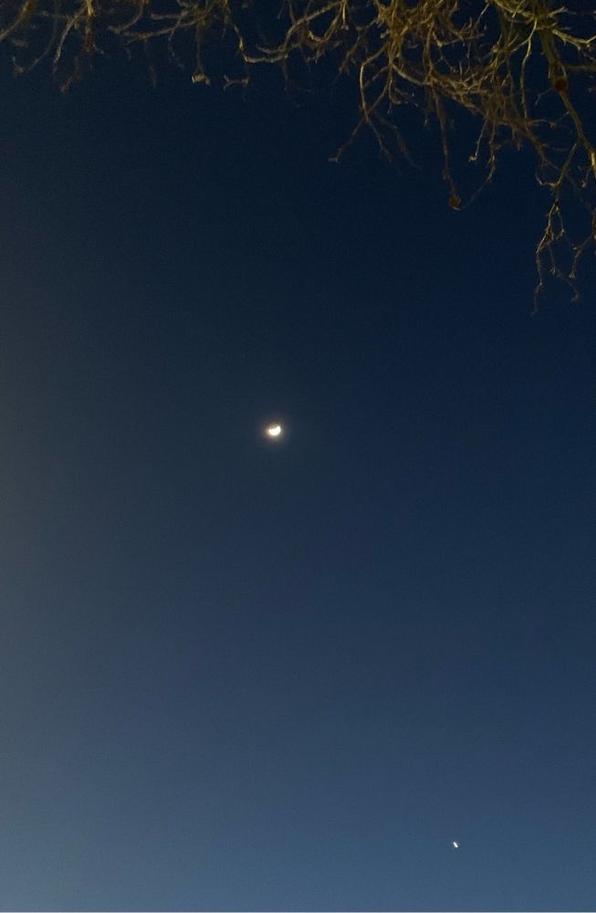The moon and Venus (neither of them particularly big) in the dusk sky.