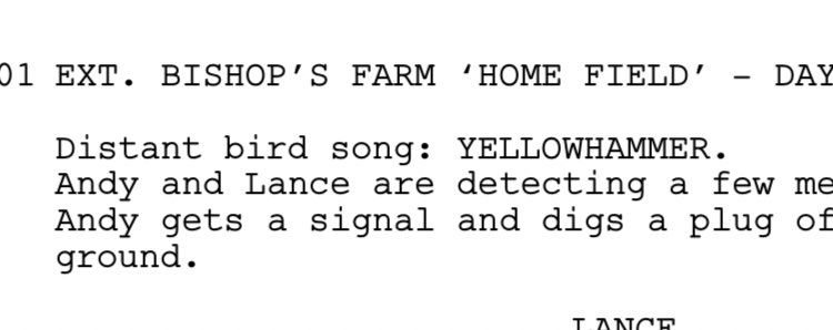 01 EXT. BISHOP'S FARM 'HOME FIELD' - DAY
Distant bird song: YELLOWHAMMER.
Andy and Lance are detecting a few me Andy gets a signal and digs a plug of ground.
TAITAT
