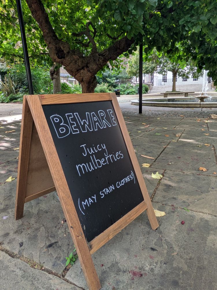 An A-frame sign, BEWARE juicy mulberries, may stain clothes 