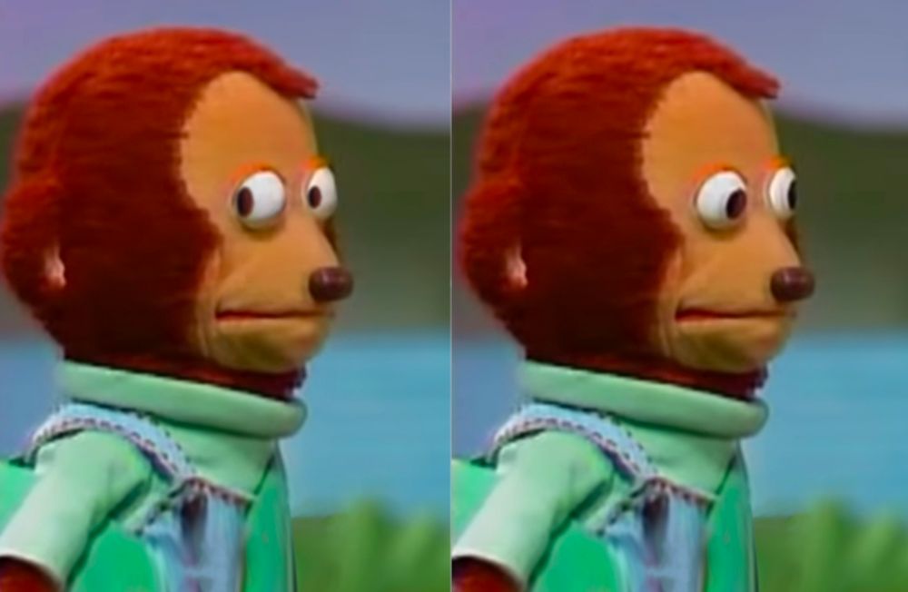 Puppet monkey looking away meme