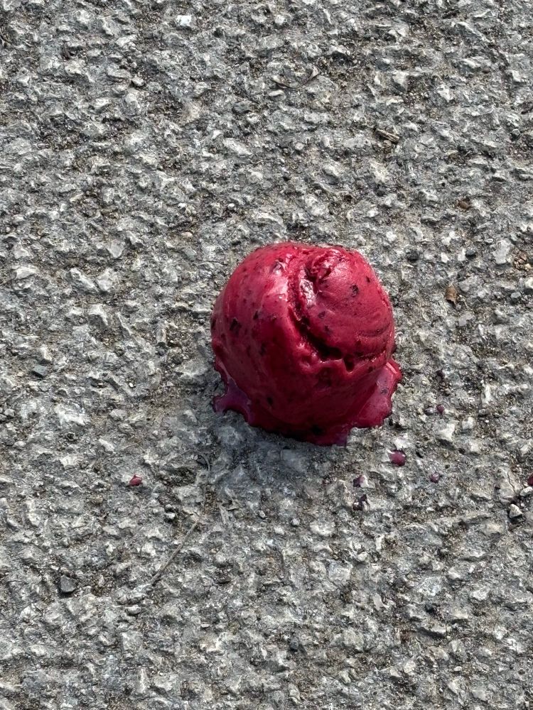 my sorbet on the floor