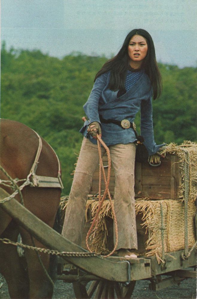 Meiko standing on a cart being pulled by a horse. She's holding a whip and leaning on some wood boxes.
