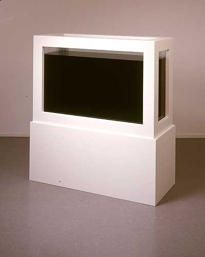 “black sheep” museum installment by damien hirst after another artist put black ink into the tank and renamed it/ later claimed copyright
