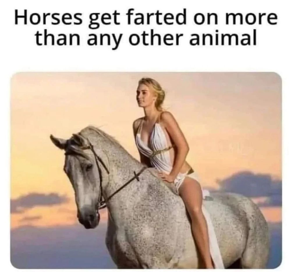 Woman on a horse. Caption above them reads “Horses get farted on more than any other animal”
