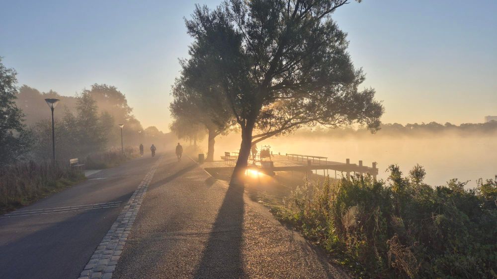 Sunrise sun behind a tree next a foggy lake.
