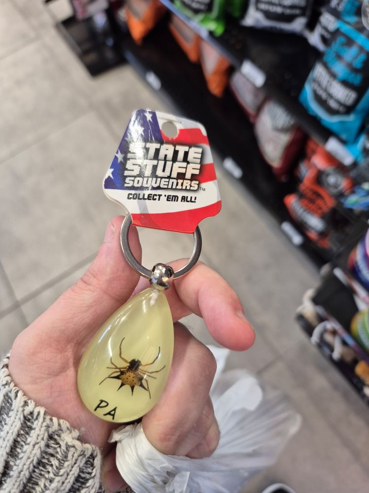 A hand holds a tear-dropped piece of resin attached to a keychain loop. Inside is a spider with "PA" written on the bottom