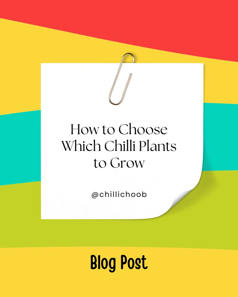 How to Choose Which Chilli Plants to Grow

@chillichoob
