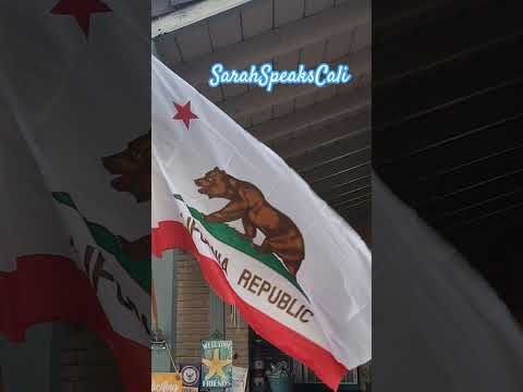 Put up my #California flag today. This makes my 💙 so happy!! #CaliforniaLove #Cali #Californian