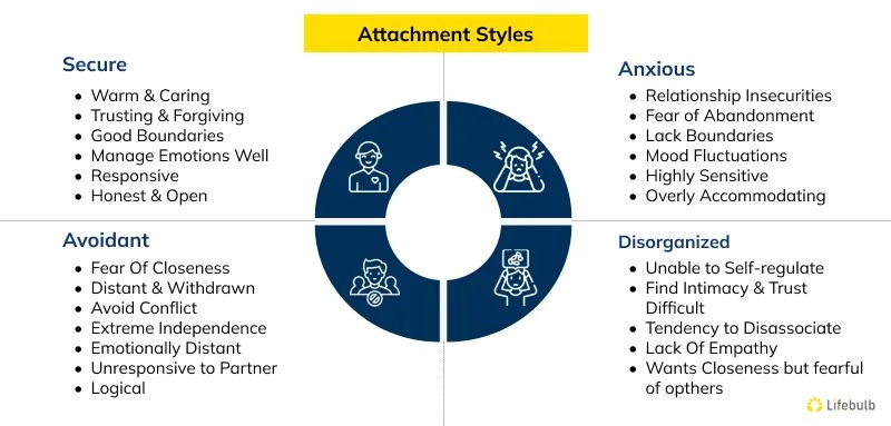 A diagram of the four different attachment styles (a developmental psychology concept pioneered by John Bowlby): Secure, Anxious, Avoidant, and Disorganized