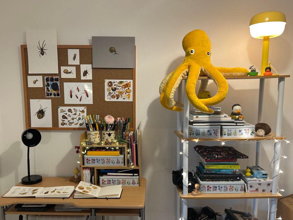 A desk on the left with a noticeboard above. Notice board is filled with drawings of snails, insects and fungi, and photos of Molly the cat. 2 sketchbooks are opened. There are pen stands, tins, lights and mushrooms decorations. To the right are open shelves. A yellow octopus plush sits on top beside a yellow lamp. Don’t worry, he’s friendly. The shelves have a camera, books, boxes, sketchbooks and novelty rubber ducks. 