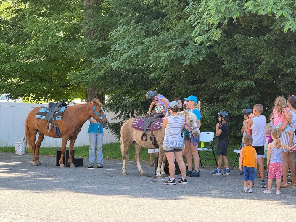 Two ponies with people standing nearby. One child is getting up on a pony. 