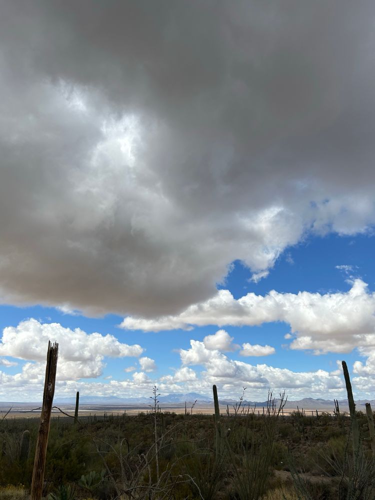 Cloudy sky over the desert, threatening spring rain