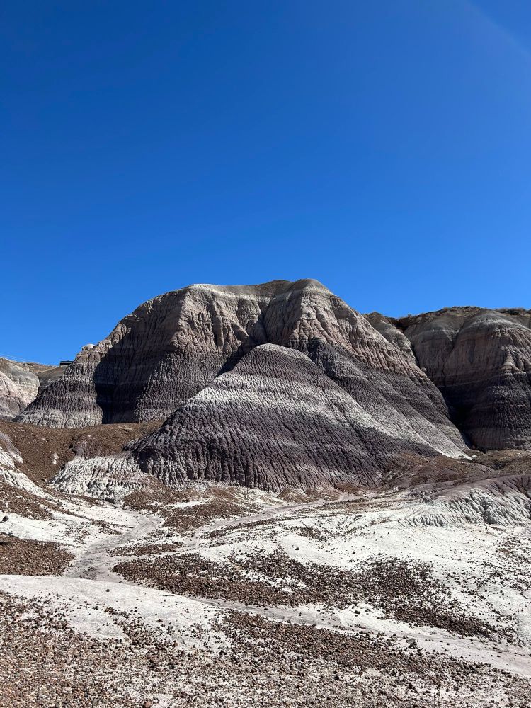 More stratigraphy in Petrified Forest NP