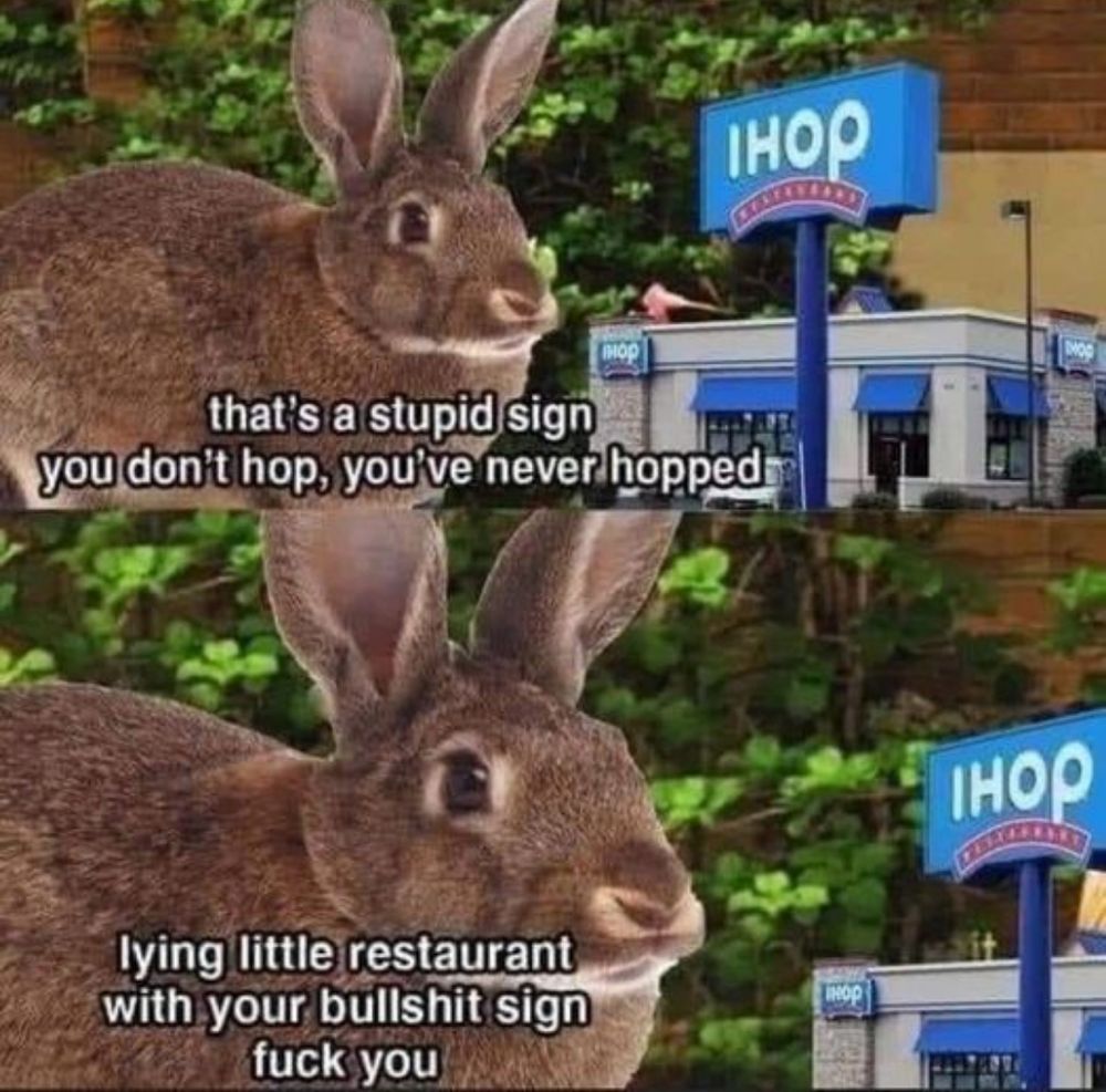 A bunny looking at an IHOP sign, captioned: that's a stupid sign. You don't hop, you never hopped. Lying little restaurant with your bullshit sign. Fuck you