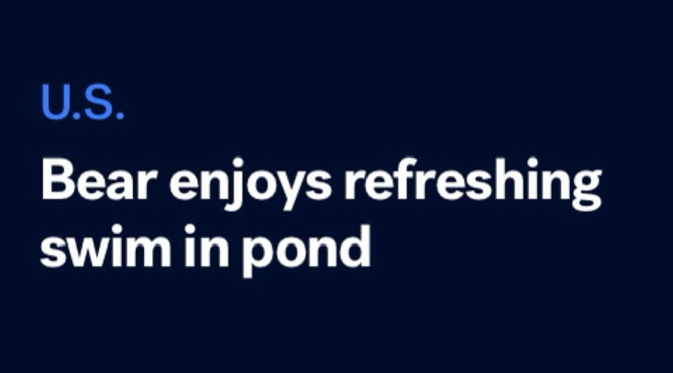 Bear enjoys refreshing swim in pond