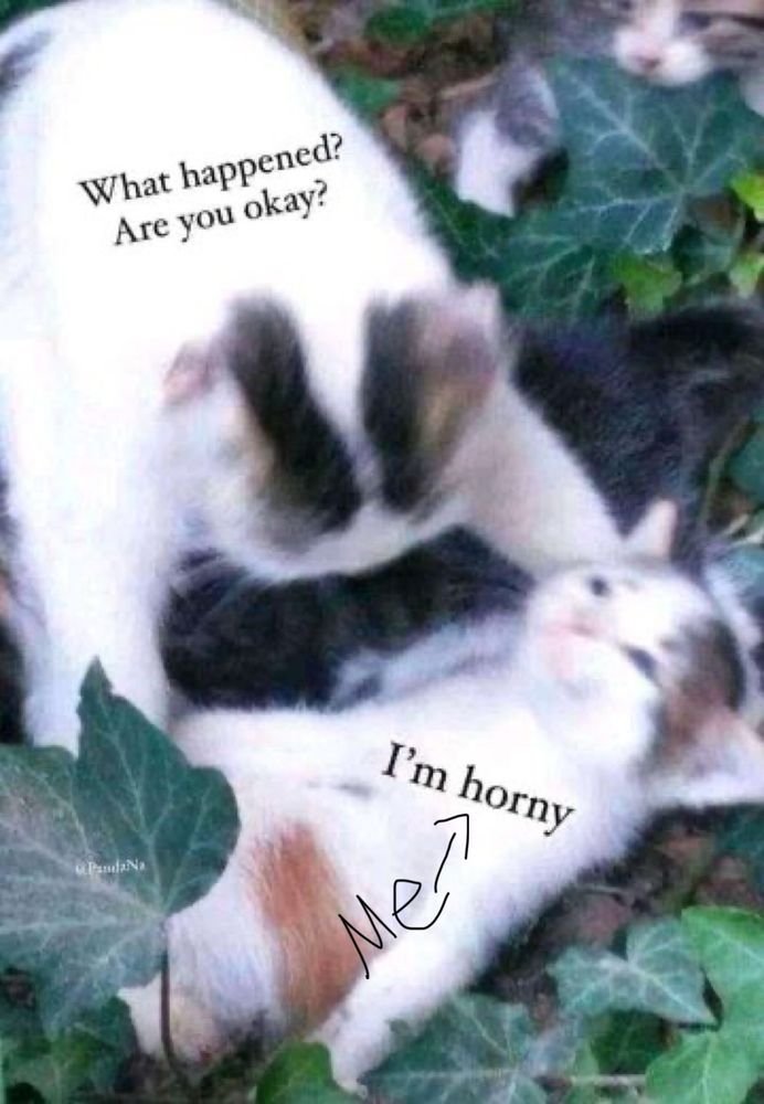 Comment image