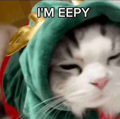 a cat wearing a green hat with the words i 'm eepy written on it