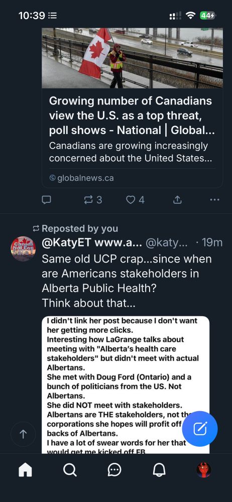 Tweet showing more Canadians believe US is the enemy followed by a tweet showing Doug Ford and Danielle Smith consulting Americans instead of constituents.  