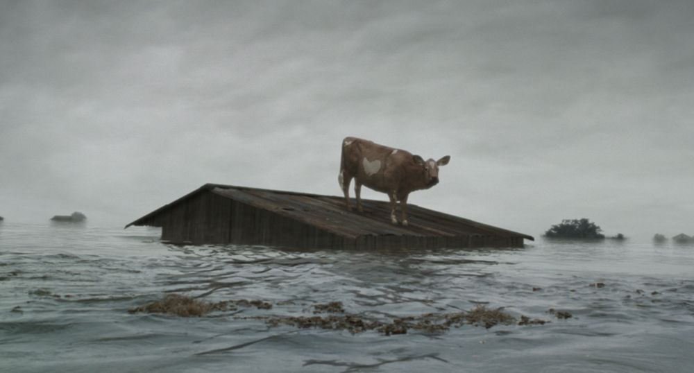 Scene from ‘Oh Brother, Where Art Though?’ Showing a cow on the roof barely visible above the surrounding flood water. 
