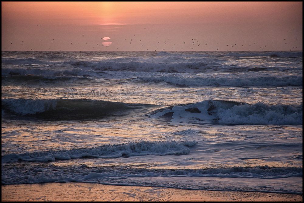 A rather soothing sunset in tones of cool blue ocean turning to pink toward the horizon.  The waves create a frothy silvery layer. The sun, partially covered by a streak of what is likely marine layer dips close to the sea. Hundreds of sea birds fly across the setting sun.