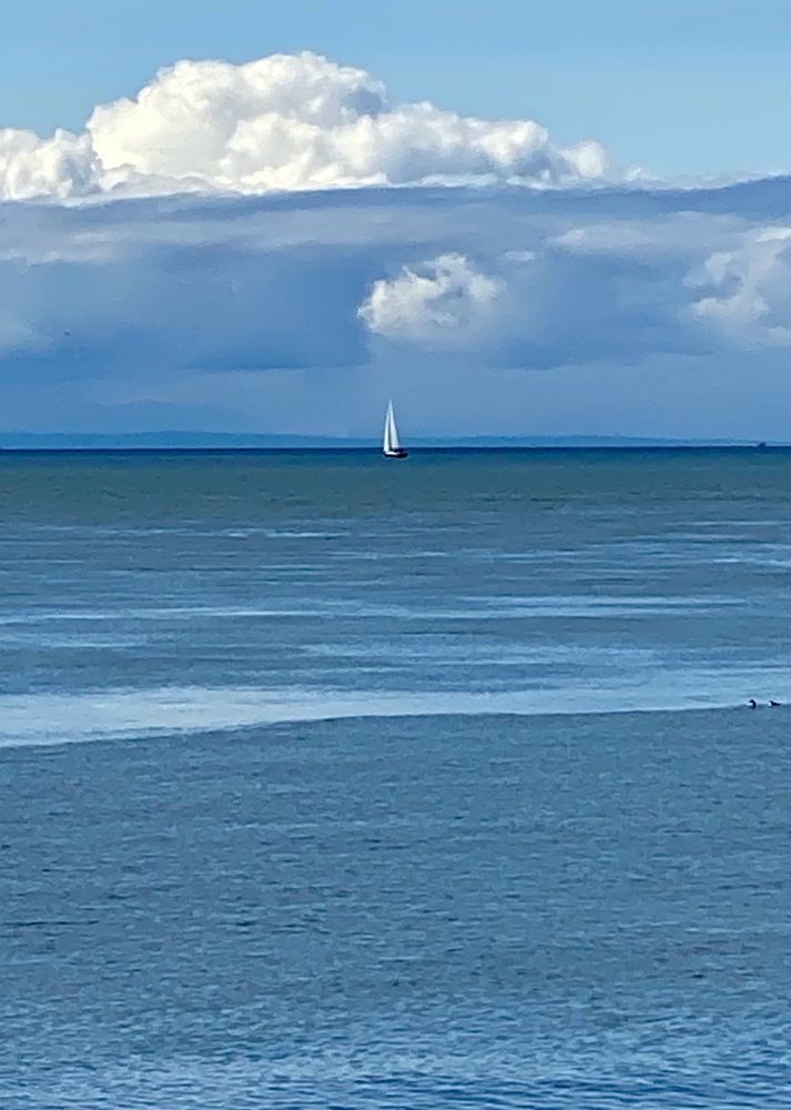 a single white sailboat on a blue sea below a blue sky