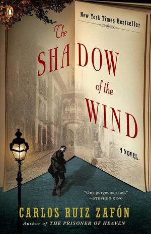 The shadow of the wind