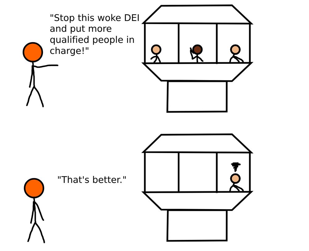 A two panel cartoon comic
First panel: Orange man says to Air traffic Control tower: Stop this woke DEI and put more qualified people in charge!
There are three people in the control tower
Second Panel: Orange man says: that's better.
Now there's only one person in the air traffic control tower who is mad about being overworked.