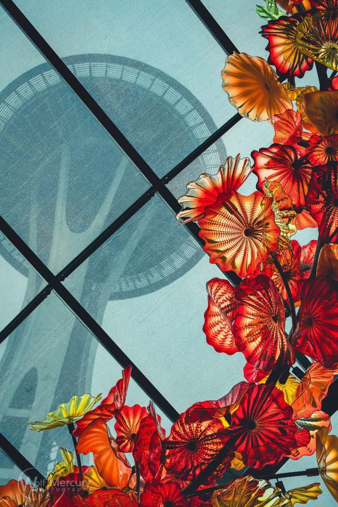  the Chihuly Garden and Glass exhibit sculpture - looks like various shades of red, yellow, and orange flower petals - at the Seattle Center,  frames the overcast rainy sky and the Space Needle. 