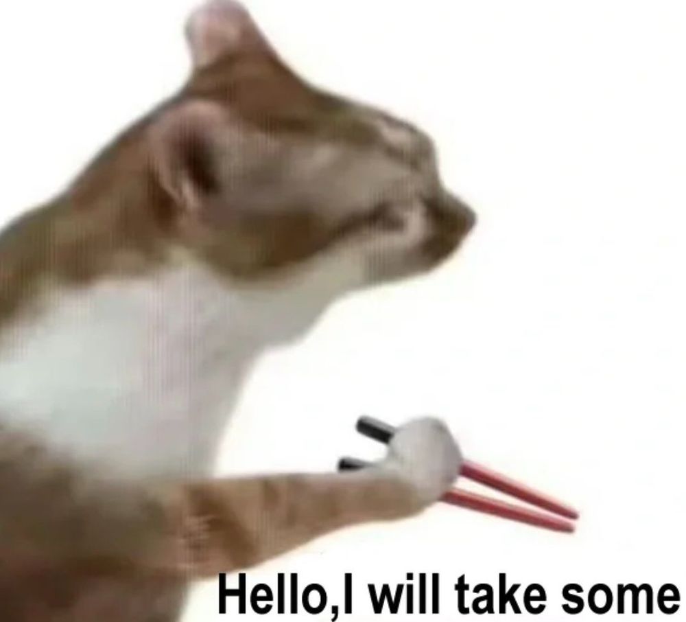 cat holding chopsticks 