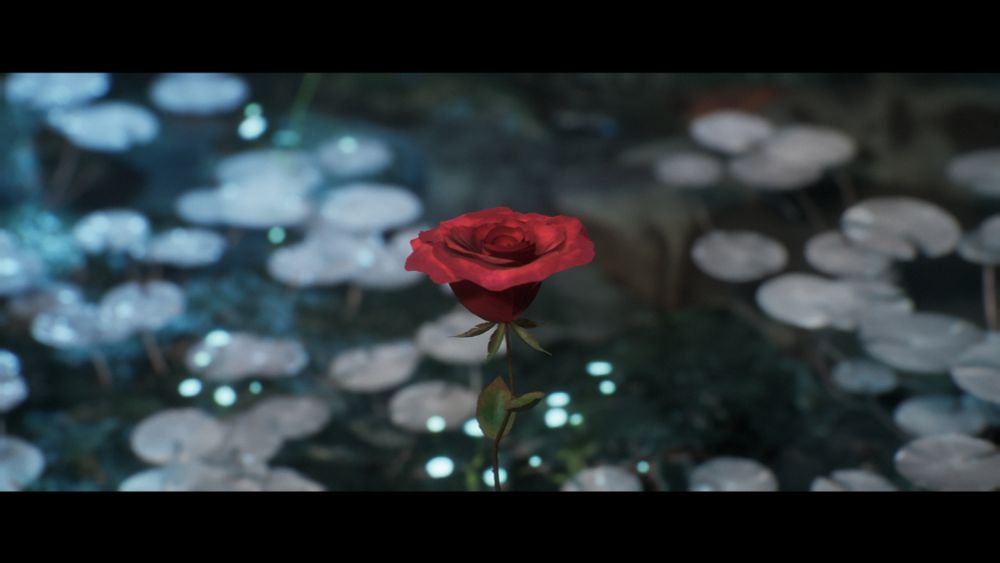An image of a rose flower from the game